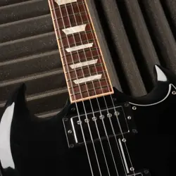 STANDARD 2013 EBONY