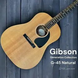 G-45 N:20461074