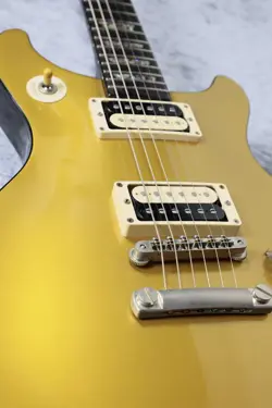 DC KORINA -GOLDTOP