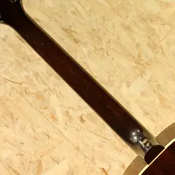 GIBSON J-160E SAFE