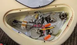CUSTOM 1978 ELECTRIC