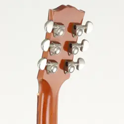 2010 ACOUSTIC GUITARS