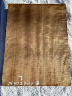 MAHOGANY BODY BLANK