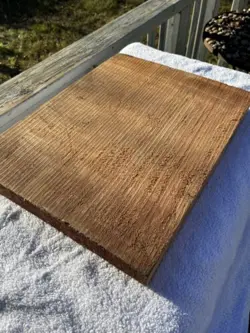 BODY BLANK GIBSON