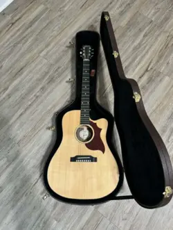 ACOUSTIC ELECTRIC MINT