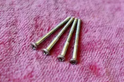SCREWS P90 LES