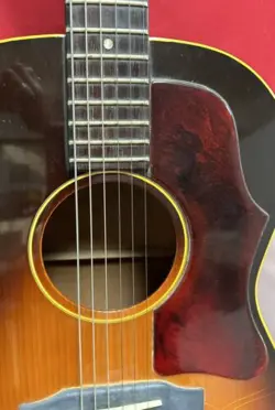 GUITAR LG1