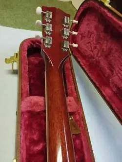 SG SPECIAL SHIPPING