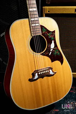 GUITAR #C15861