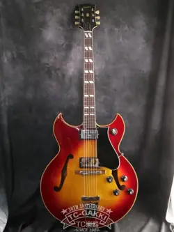 REGULAR ELECTRIC GUITAR