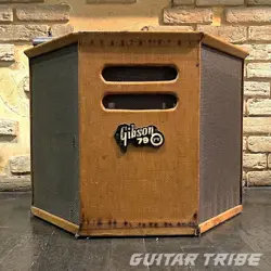 AMP 2X10