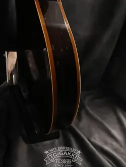 ES-225T VINTAGE