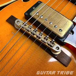 VINTAGE JAZZ GUITAR