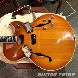 GUITAR P.A.F.