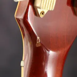 CUSTOM SUNBURST 1972