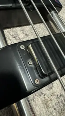 BASS THE