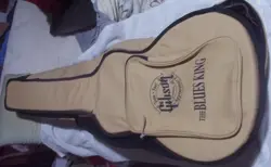 CARRYING BAG