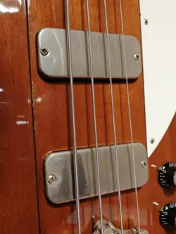 BASS THUNDER-BIRD