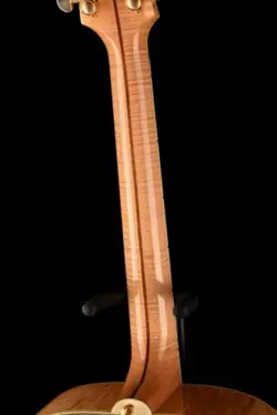 GUITAR WITH FISHMAN