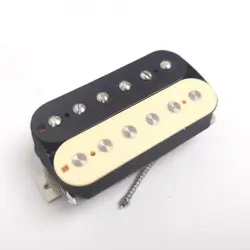 GIBSON FENDER GUITAR