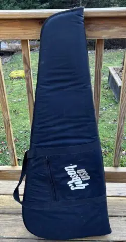 CARRY CASE GIG