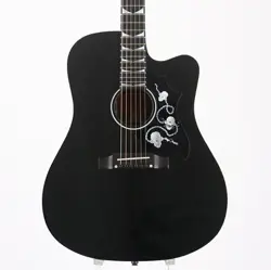 EBONY HARVEST GUITARS