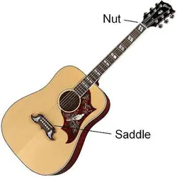 NUT AND