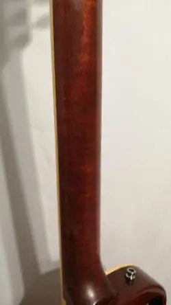 50S HONEY BURST