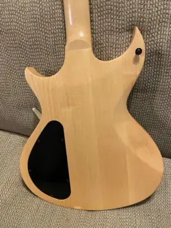 2013 GIBSON N-225