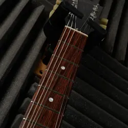 SPECIAL WITH HUMBUCKERS