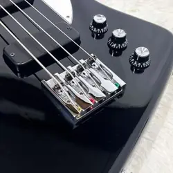 THUNDERBIRD BASS FROM