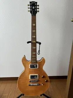 GIBSON DC PRO
