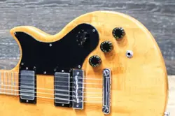 SUPER HUMBUCKING PICKUPS