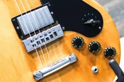MAPLE BODY SUPER