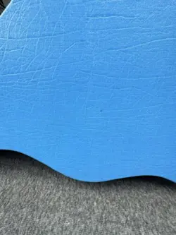 CASE BLUE CANADA