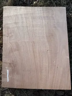 AFRICAN MAHOGANY