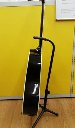 VS ACOUSTIC ELECTRIC