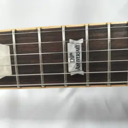 TRADITIONAL 120TH ELECTRIC