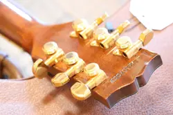 NATURAL ARCHTOP HOLLOWBODY
