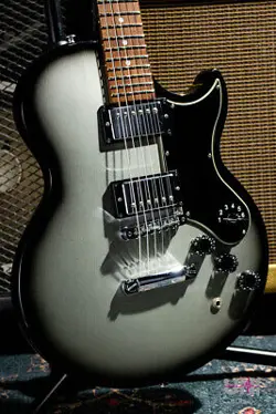 GIBSON L6 S   2011 NO.DG1407