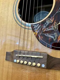 HUMMINGBIRD ELECTRIC