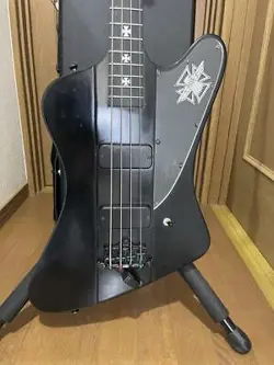 SIGNATURE SAFE