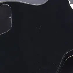 EBONY BURST ELECTRIC