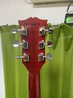 LET'S COUNTRY BY GIBSON HUMMINGBIRD MAURICE WH ECO