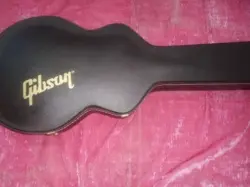 ES 339 CASE