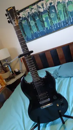 EBONY FRETBOARD HUMBUCKERS