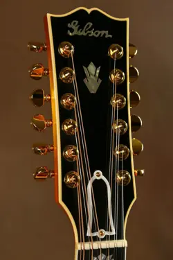 12 STRING HCS