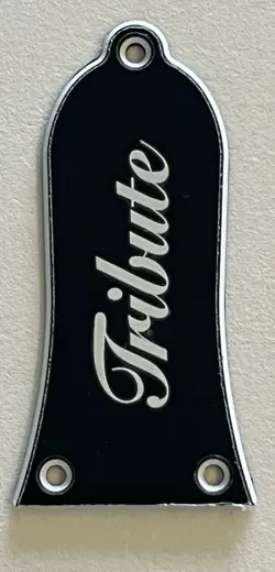 FOR GIBSON EPIPHONE TRUSS ROD COVER PLATE LOGO 3 SCREWS 3 PLY BLACK