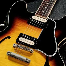 ES-335 LIMITED COIL