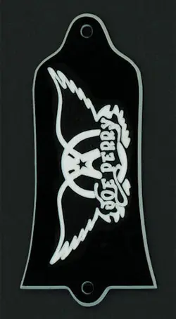 GUITAR TRUSS ROD COVER - ENGRAVED ETCHED - FITS GIBSON - AEROSMITH JOE PERRY